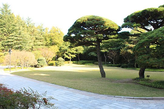 백록대 앞뜰은 박정희 대통령이 머물렀을때의 모습을 그대로 하고 있다.